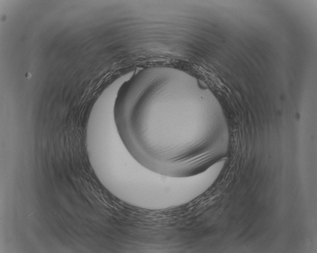 X0000083660916200703051748