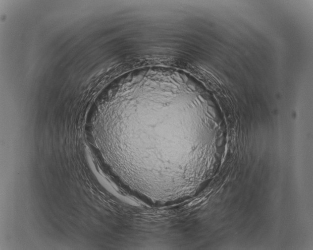 X0000083660917200703051748