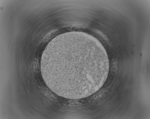 X0000083660918200703051748