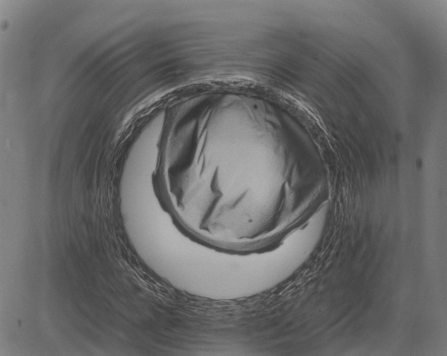 X0000083660920200703051748