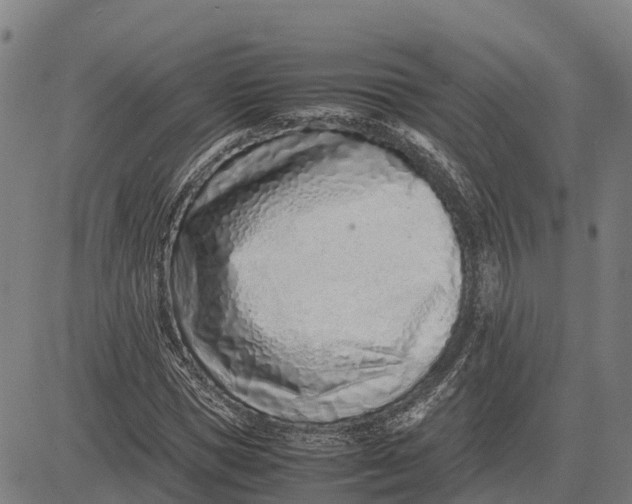 X0000083660921200703051748