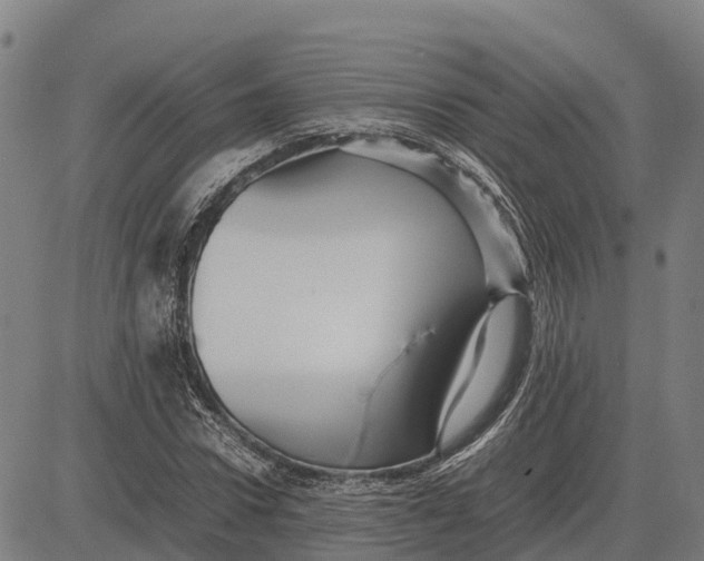 X0000083660922200703051748