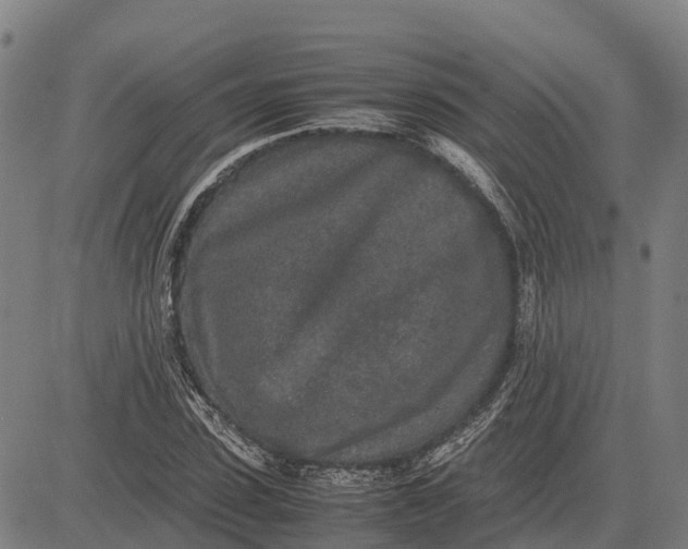 X0000083660923200703051748