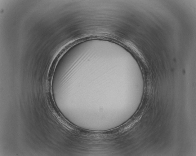 X0000083660924200703051748