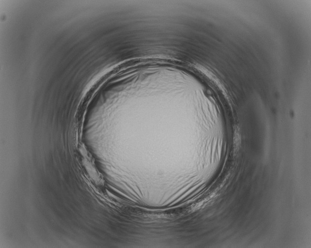 X0000083660925200703051748