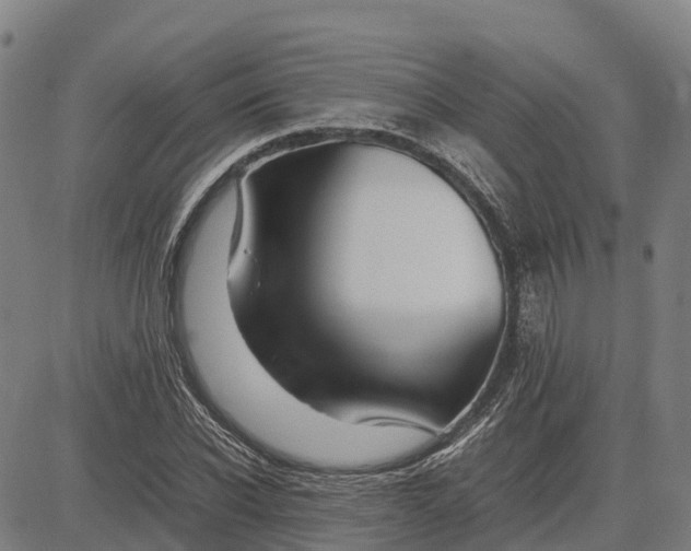 X0000083660926200703051748