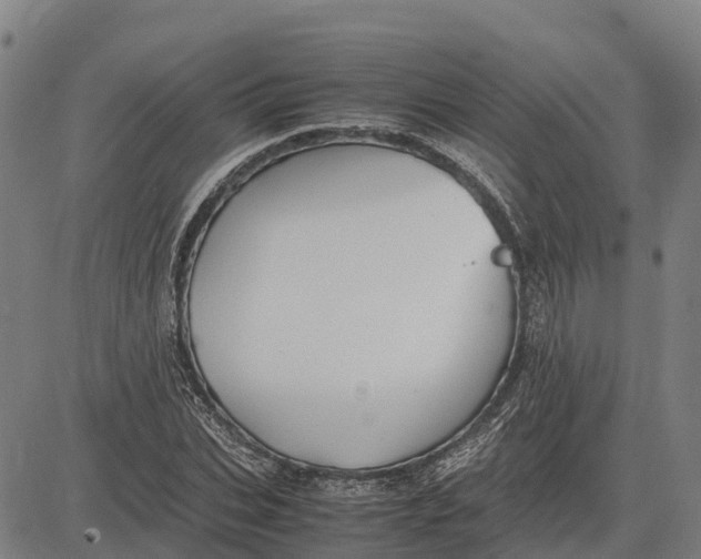 X0000083660927200703051748