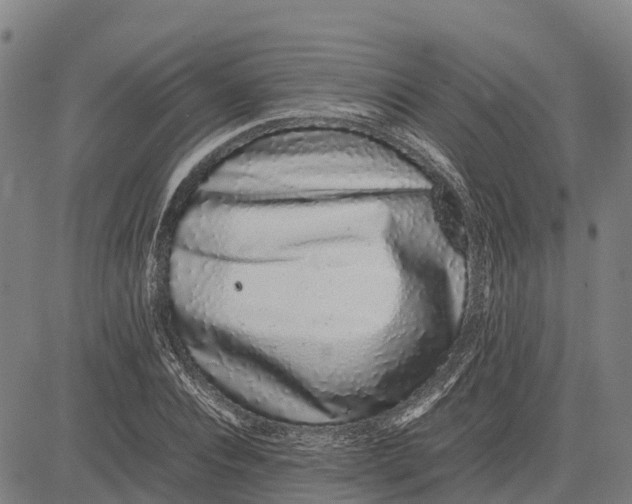 X0000083660928200703051748