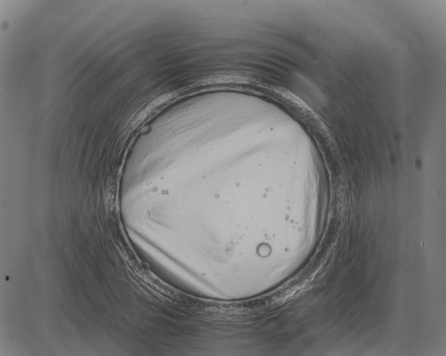 X0000083660929200703051748