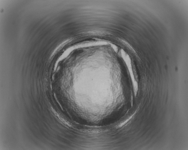 X0000083660930200703051748