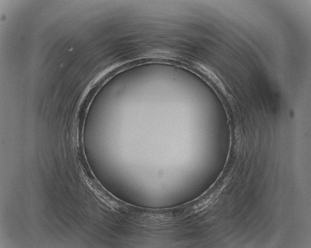 X0000083660931200703051748