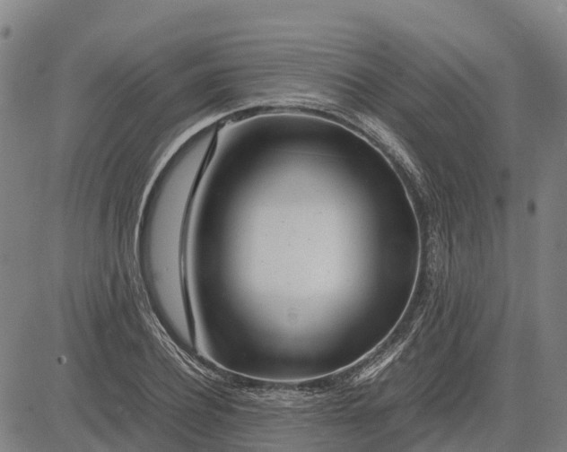 X0000083660932200703051748