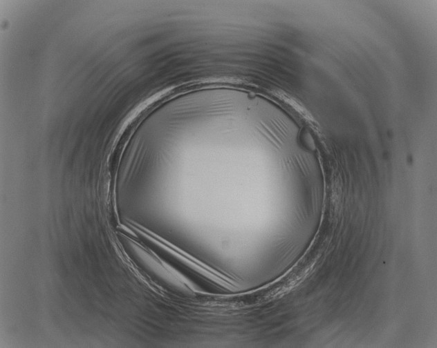 X0000083660933200703051748