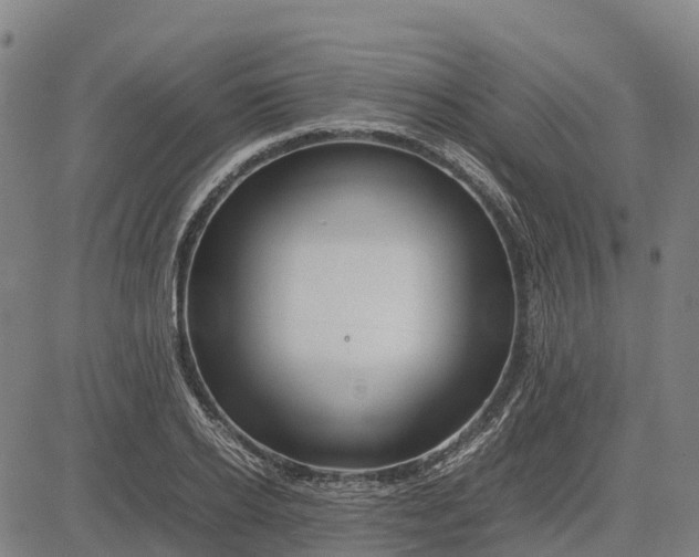 X0000083660934200703051748