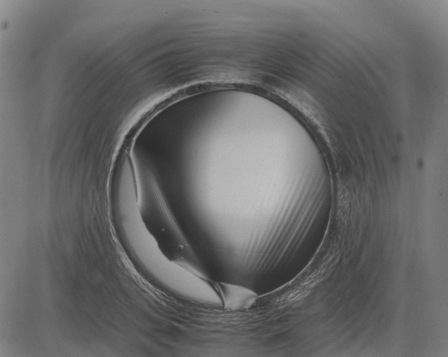 X0000083660935200703051748