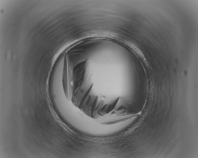 X0000083660936200703051748