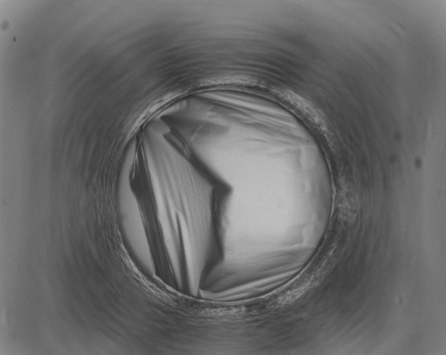 X0000083660937200703051748