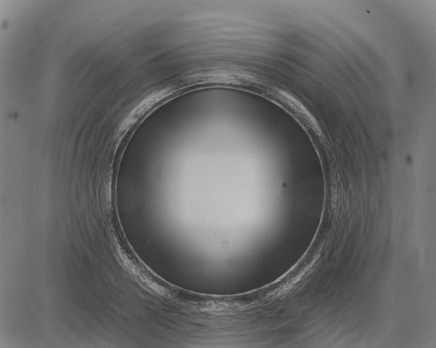 X0000083660938200703051748