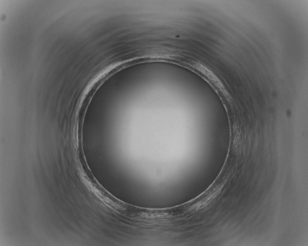 X0000083660939200703051748