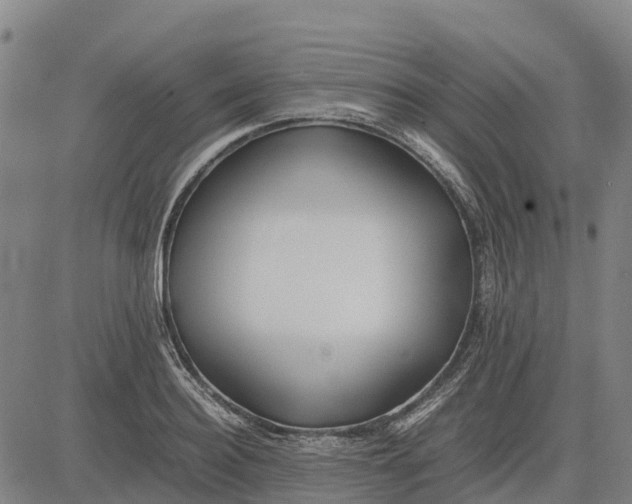 X0000083660940200703051748