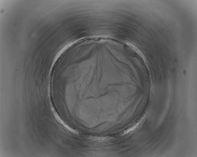 X0000083660941200703051748