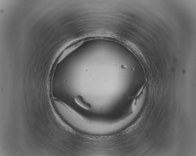 X0000083660942200703051748