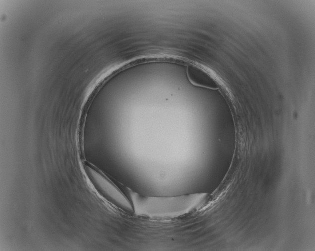 X0000083660943200703051748