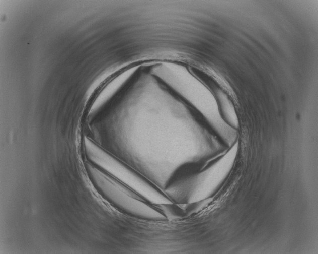 X0000083660944200703051748