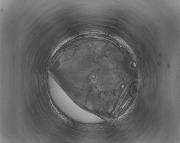 X0000083660945200703051748