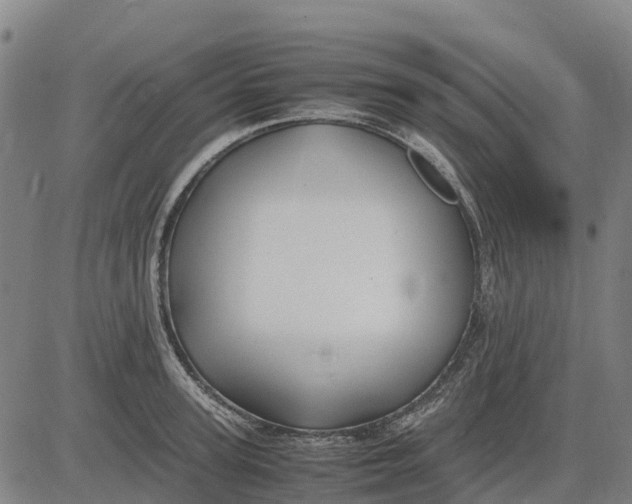 X0000083660947200703051748