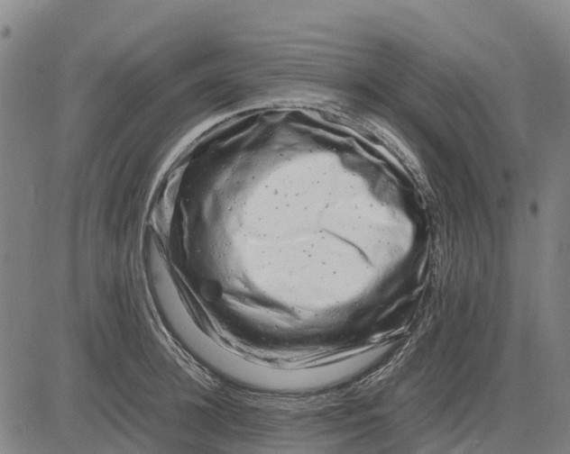 X0000083660948200703051748