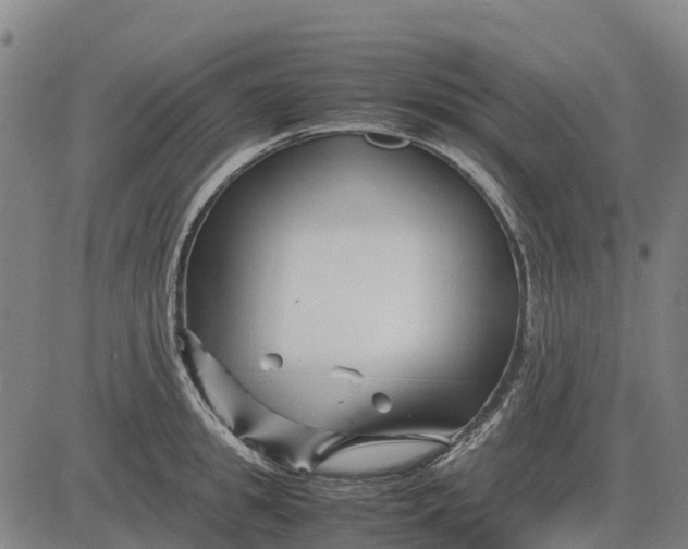 X0000083660949200703051748