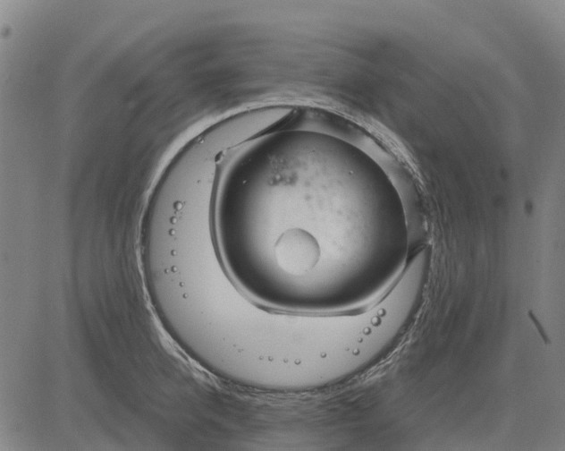 X0000083660950200703051748