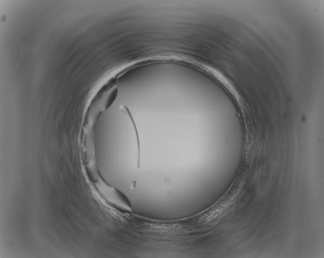 X0000083660951200703051748