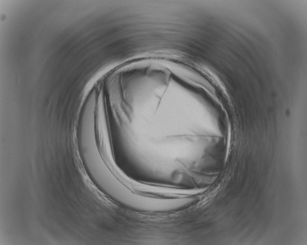 X0000083660952200703051748