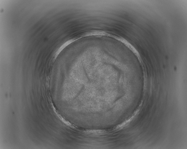 X0000083660953200703051748