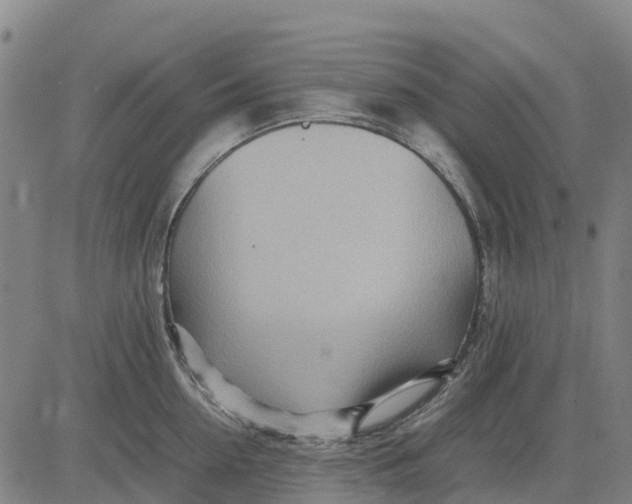 X0000083660954200703051748