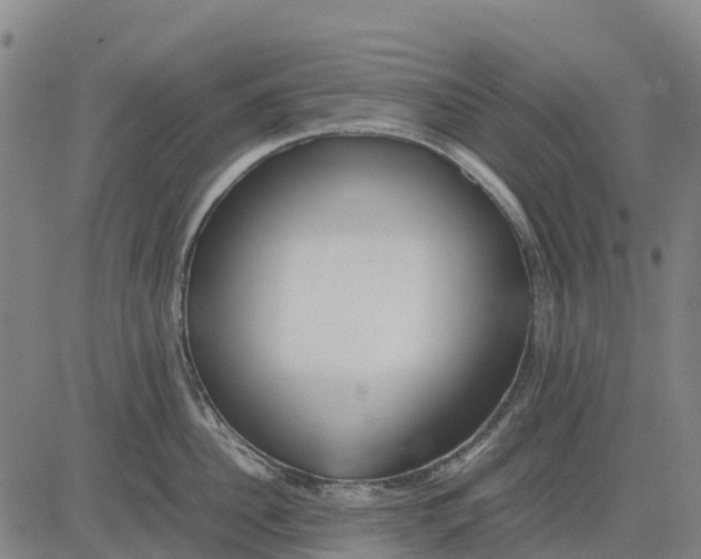 X0000083660956200703051748