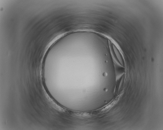 X0000083660957200703051748