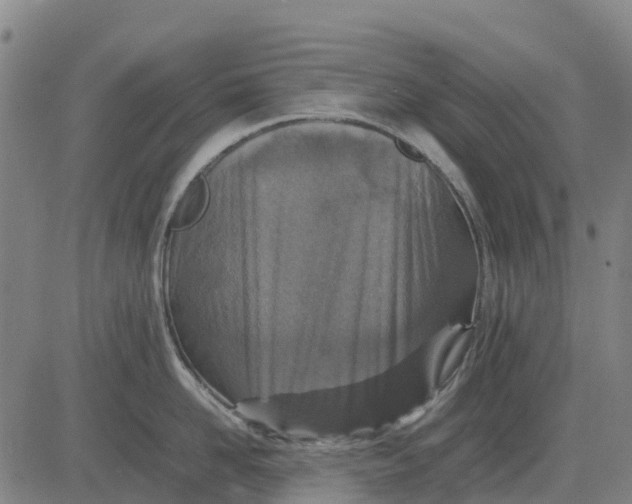 X0000083660958200703051748