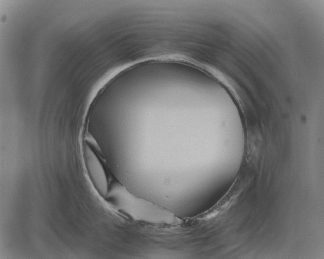 X0000083660959200703051748