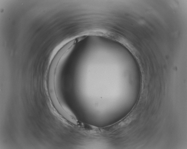 X0000083660960200703051748