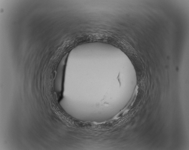 X0000083660961200703051748