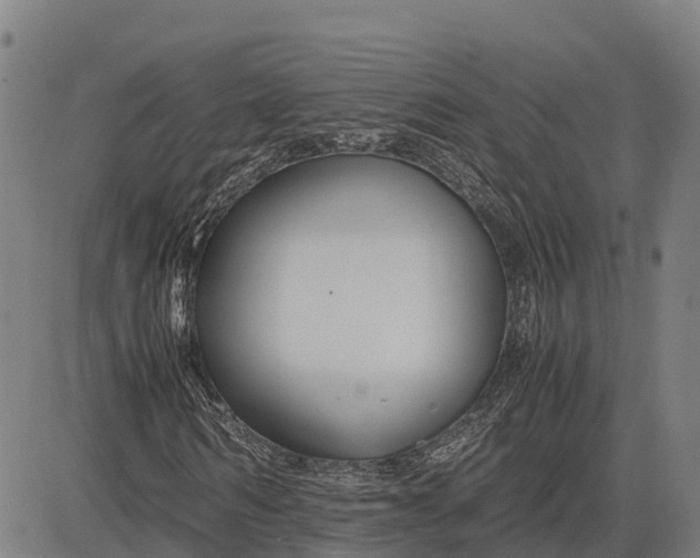 X0000083660962200703051748