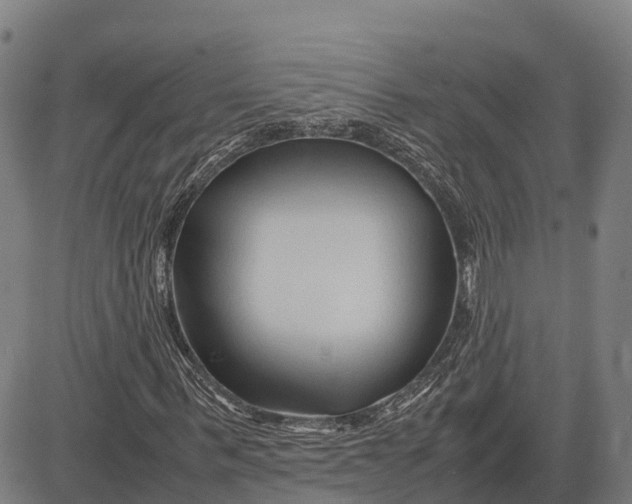 X0000083660963200703051748