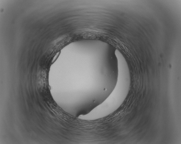 X0000083660964200703051748