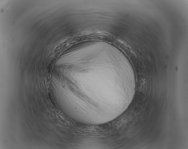 X0000083660966200703051748