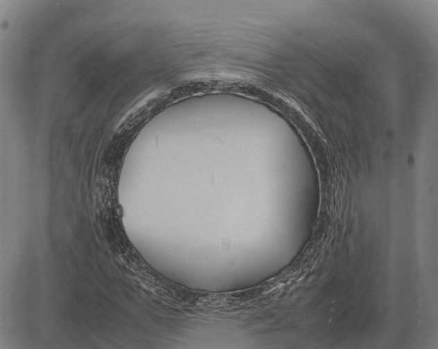 X0000083660967200703051748