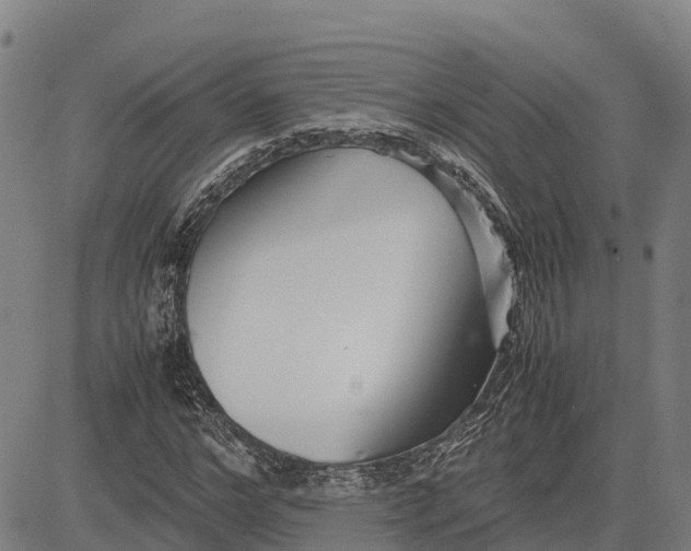 X0000083660968200703051747