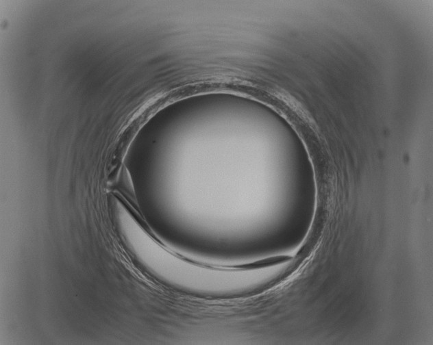 X0000083660969200703051747